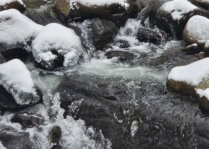 Chwil Widok Na Zalew I Gory * Соснувка